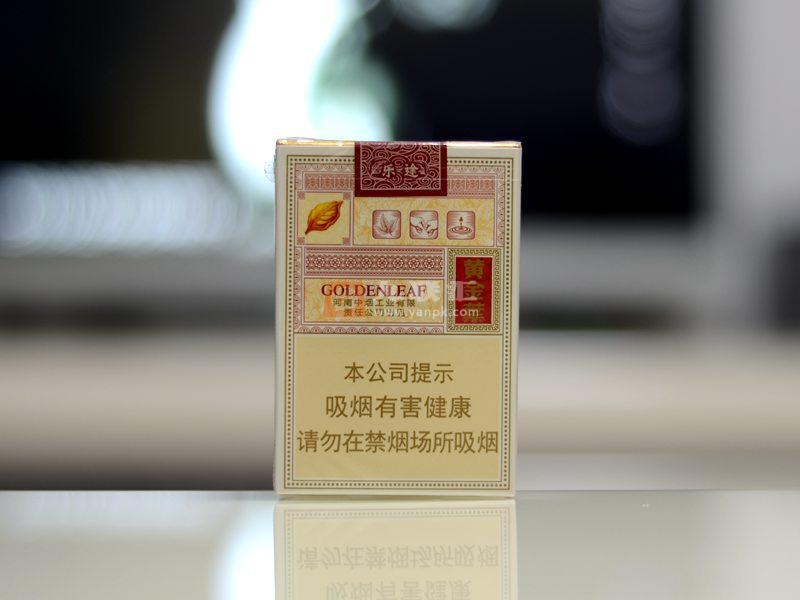 黄金叶乐途图片