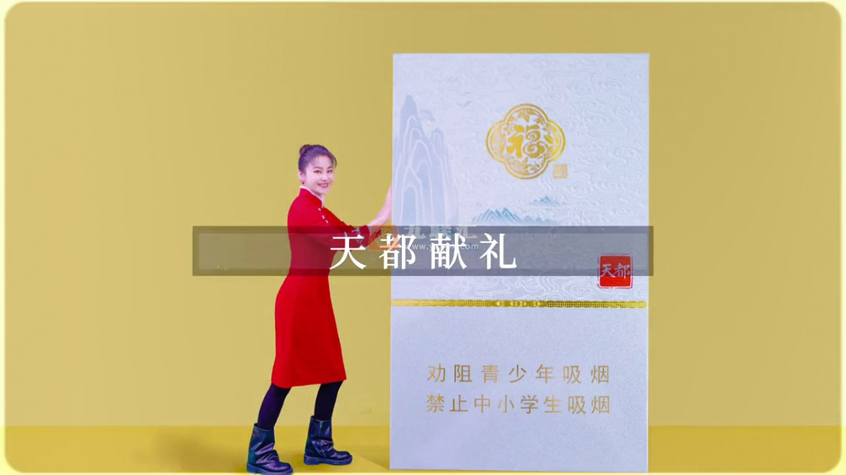 黄山天都中支兔年贺岁版