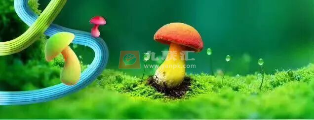 云烟（细支灵感蘑菇）