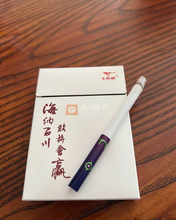 七匹狼海纳百川