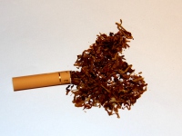 长白山(东方神韵)香烟