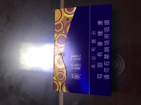 黄鹤楼(雪之景2号)